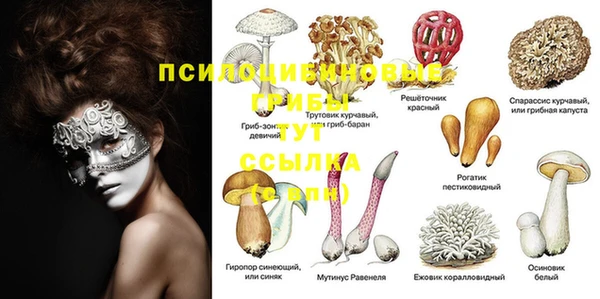 MDMA Premium VHQ Богородск